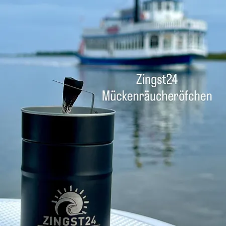 Distel Daire Zingst