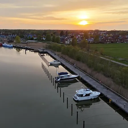Distel Zingst